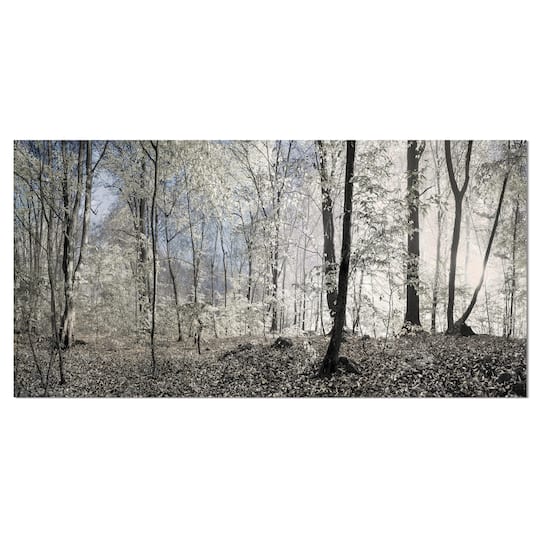 Designart - Dark Morning in Forest Panorama - Landscape Canvas Art Print